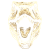 T-Rex Tyrannosaurus Rex Dino Papa Dinosaure