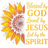 Aimé Par Jésus Chrétien Tournesol