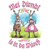 Mei Dirndl is in da Wäsch - Dirndl Ersatz, Tracht