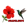 La Guadeloupe