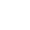 Cheetah Boxer Boxing MMA Leopard