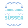 Chihuahua Dog Saying