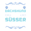 dackel dachshund hund spruch