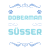 doberman hund spruch