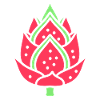 Dragon fruit