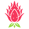 Drachenfrucht