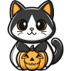 Chat Citrouille Halloween