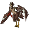 Harpy