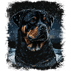 Rottweiler Hund