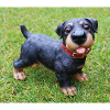 Mignon chiot teckel imprimé