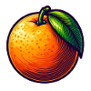 Modern Orange Illustration