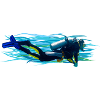 Diver