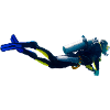 Diver