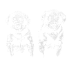 Chiots