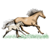 Mare with foal