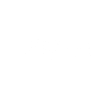 Heartbeat of a Turtle