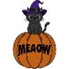 Cat Halloween