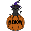 Cat Halloween