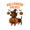 Teckel d’Halloween avec motif citrouille