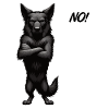 No Black Shepherd Shepherd Owner