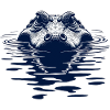 Alligator Crocodile