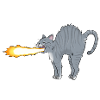 Chat-lumeau