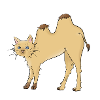Chat-meau