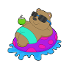Bear Swimming Swim Ring Summer