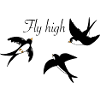 Stylish swallows in flight with cloud