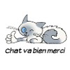 Chat va bien