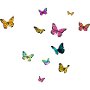 Beautiful girl name with butterflies NATALIE
