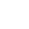 Taurus Boxer