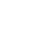 Tiger Boxer