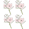 Wild roses