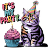 Chat d’anniversaire