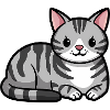 Grey Tabby Cat