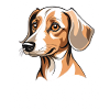 Playful dog portrait print