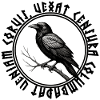 Mystic Raven