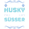 husky hund spruch