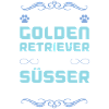 golden retriever hund spruch