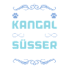 kangal hund spruch