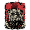 Bouledogue anglais punk