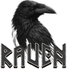 Dark Raven with Runic Lettering