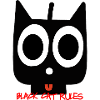 chat noir