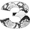 Snakeskin Pattern Number 3
