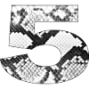 Snake Pattern Number 5