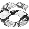 Snake Pattern Number 6