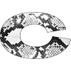 Snake Skin Letter c