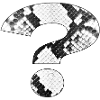 Snakeskin Pattern Question Mark Design