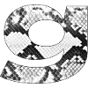 Snake Skin Pattern Letter g
